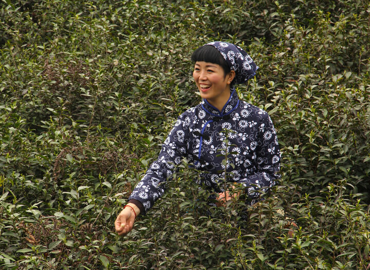 评分榜首
